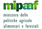 Controllo della Pesca, modalità di comunicazione, formato elettronico, mipaaf, Note di Vendita, Dichiarazioni di assunzione in carico, Documenti di Trasporto